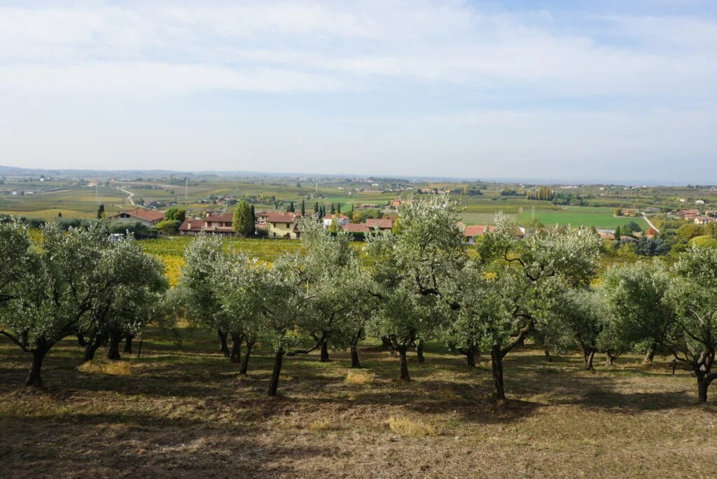 landskap